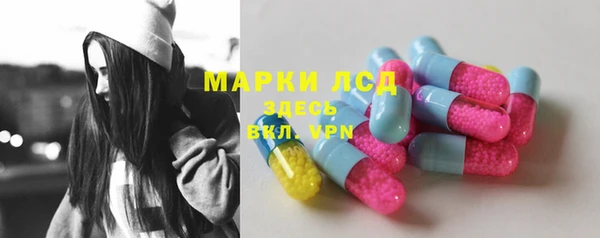 mdpv Богородицк