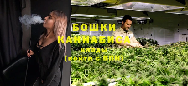 дмт Белокуриха
