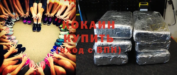 mdpv Богородицк