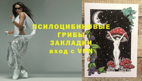 дживик Белоозёрский