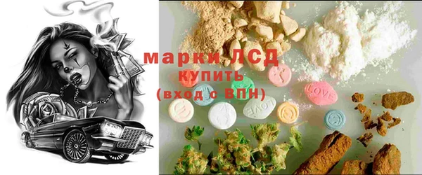 mdpv Богородицк