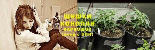 кокс Богородск